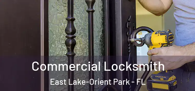 Commercial Locksmith East Lake-Orient Park - FL