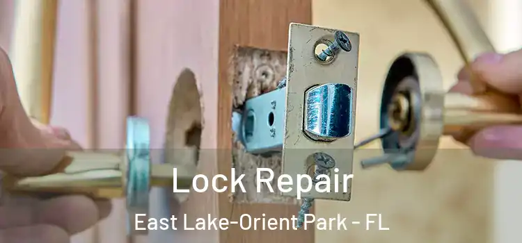 Lock Repair East Lake-Orient Park - FL