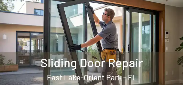 Sliding Door Repair East Lake-Orient Park - FL